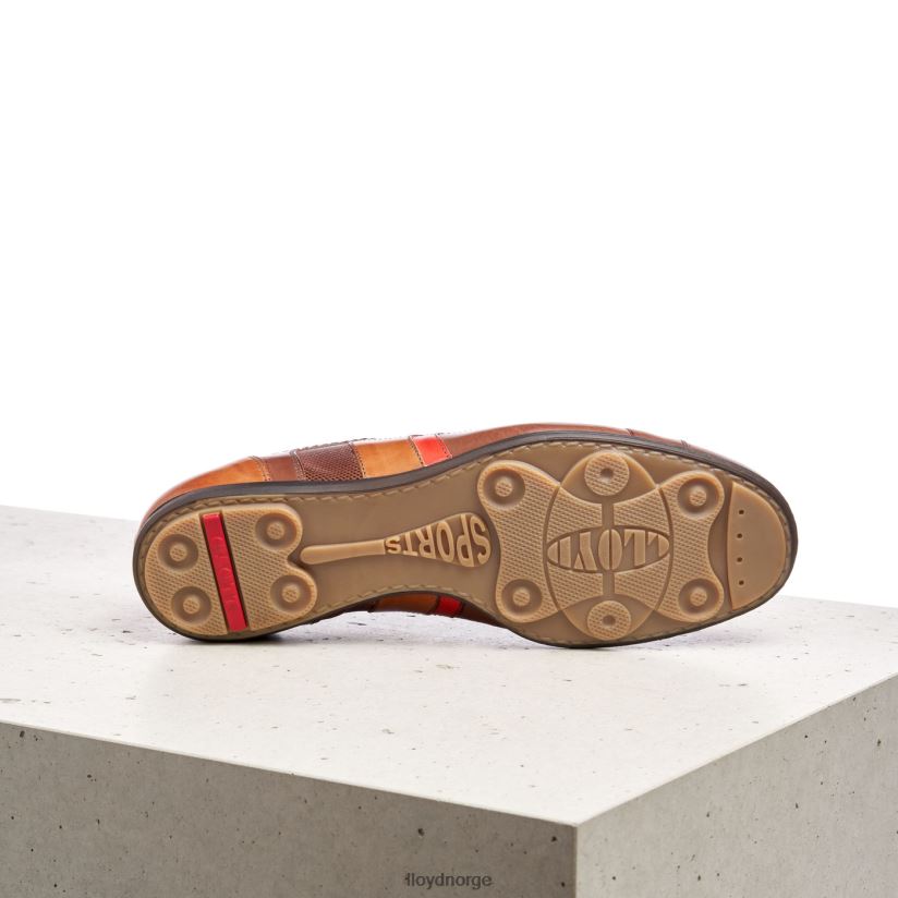 LLOYD benson menn sko brun 4X82ZP439