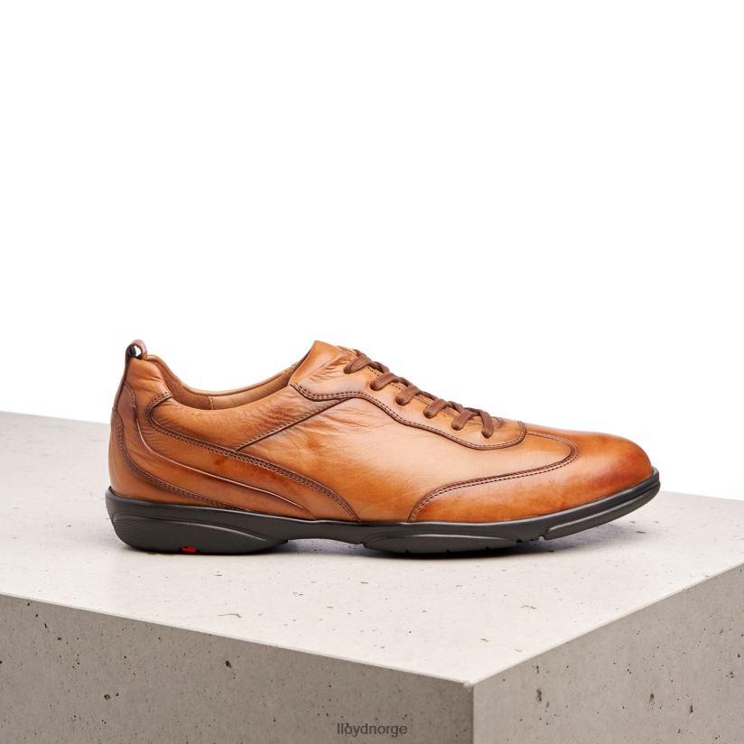 LLOYD bern menn sko brun 4X82ZP436