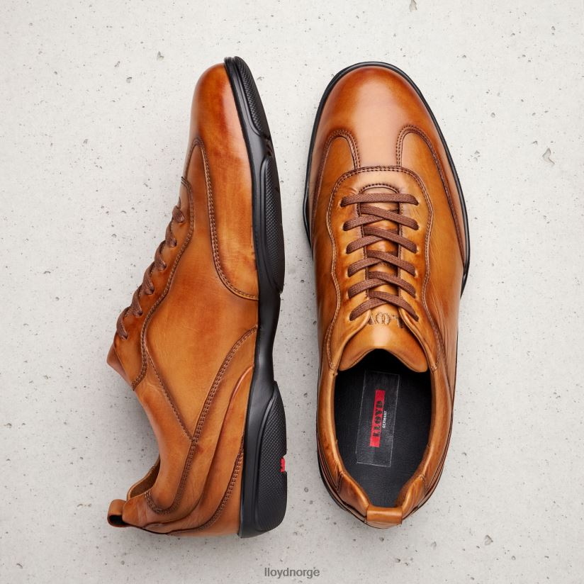 LLOYD bern menn sko brun 4X82ZP436