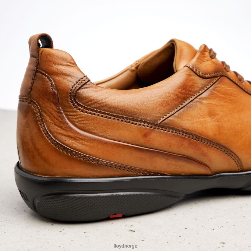 LLOYD bern menn sko brun 4X82ZP436