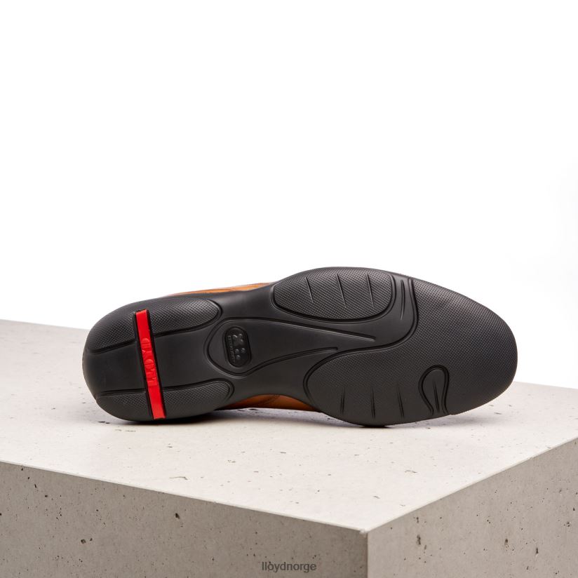 LLOYD bern menn sko brun 4X82ZP436