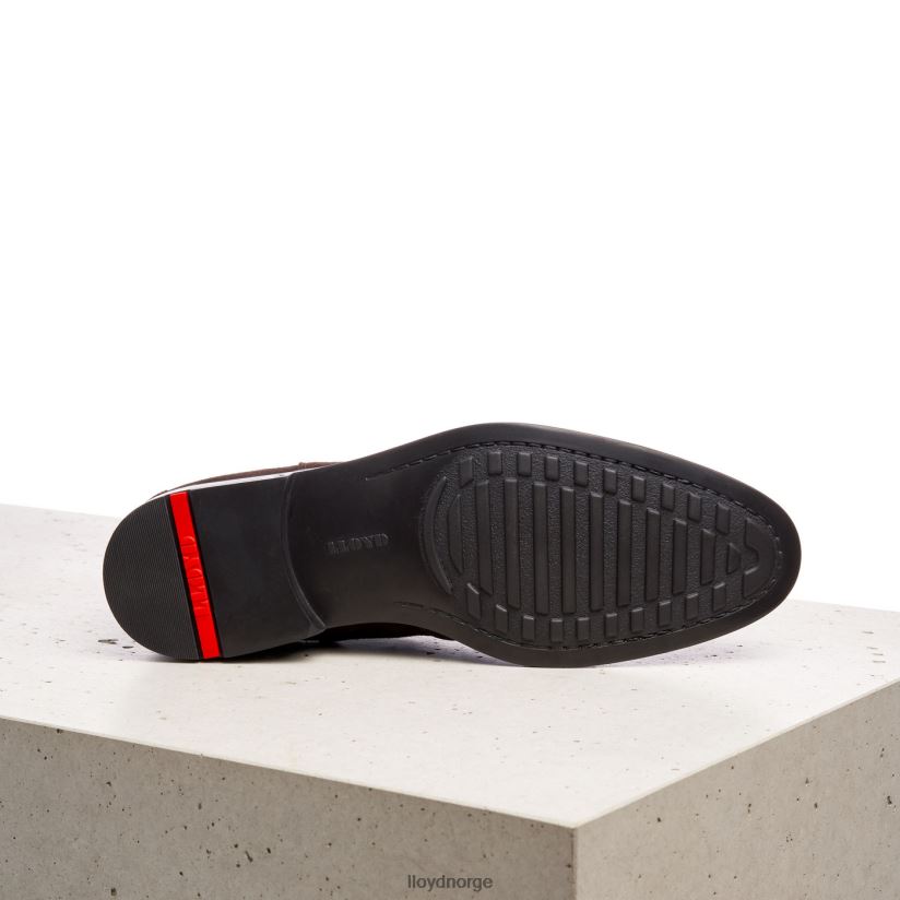 LLOYD beskytter menn sko brun 4X82ZP497