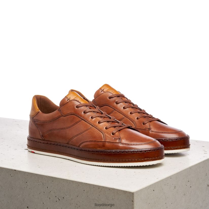 LLOYD blackburn menn sko brun 4X82ZP440