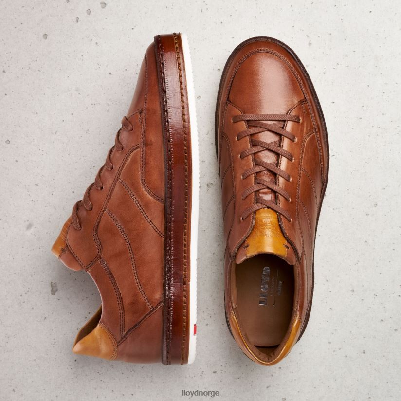 LLOYD blackburn menn sko brun 4X82ZP440