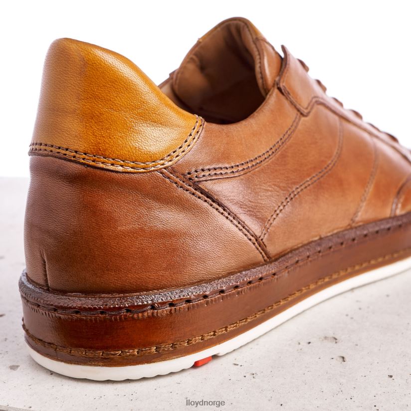 LLOYD blackburn menn sko brun 4X82ZP440