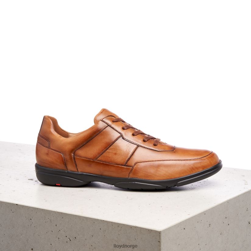 LLOYD bloy menn sko brun 4X82ZP375