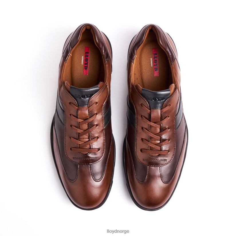 LLOYD brev menn sko brun 4X82ZP418