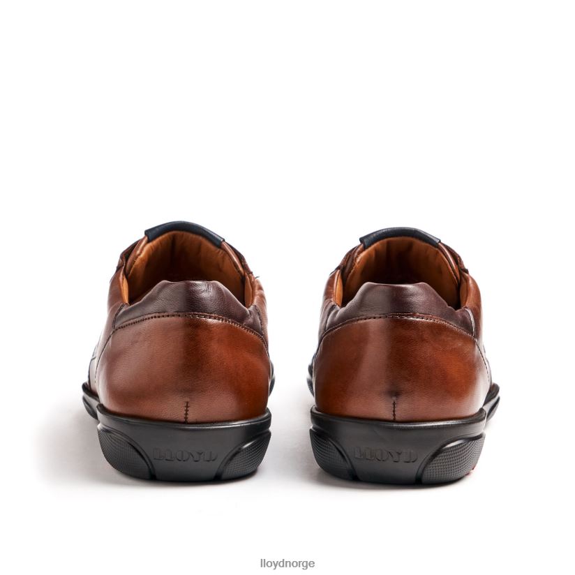 LLOYD brev menn sko brun 4X82ZP418