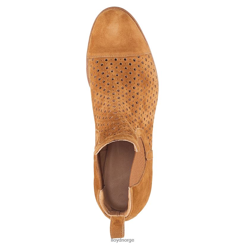 LLOYD chelsea ankelstøvletter kvinner sko brun 4X82ZP993