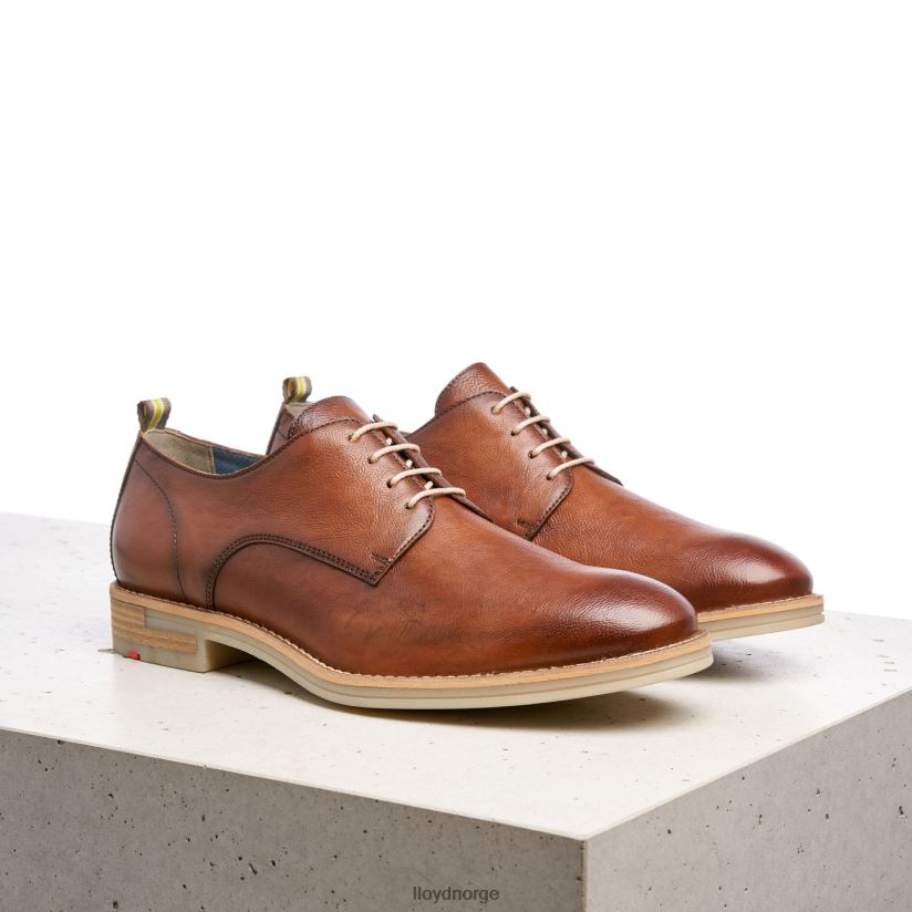 LLOYD dakota menn sko brun 4X82ZP608