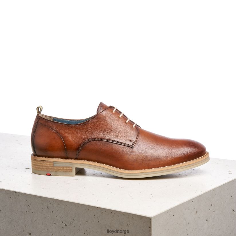 LLOYD dakota menn sko brun 4X82ZP608