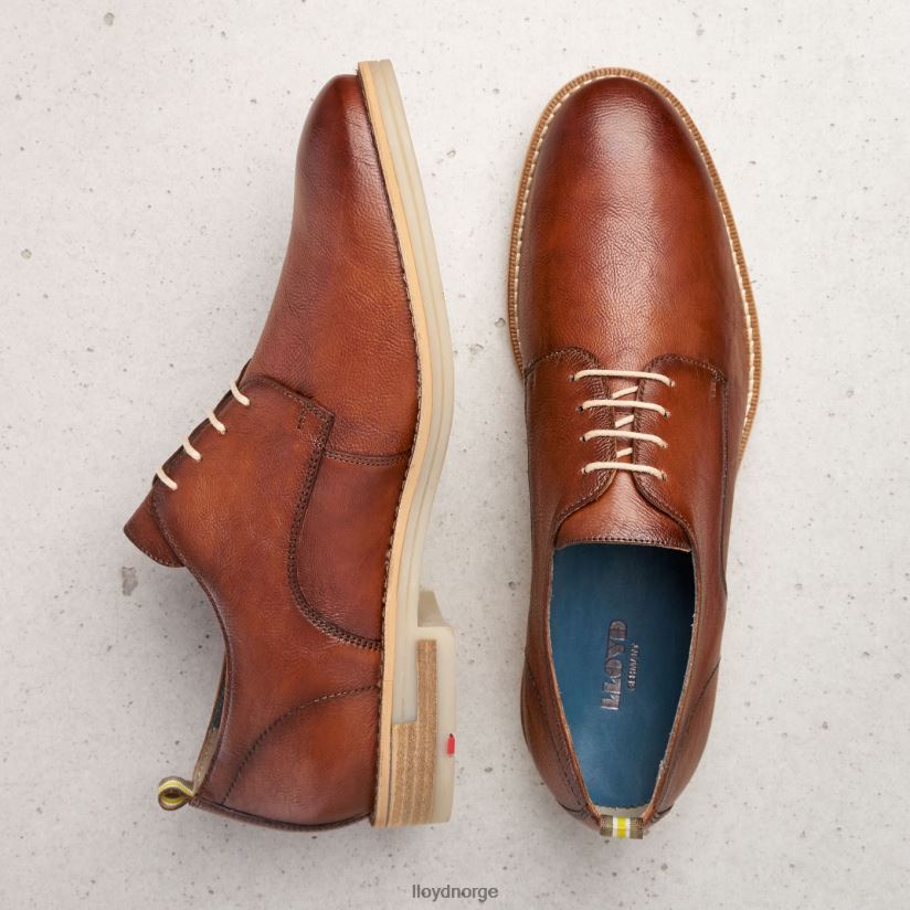 LLOYD dakota menn sko brun 4X82ZP608