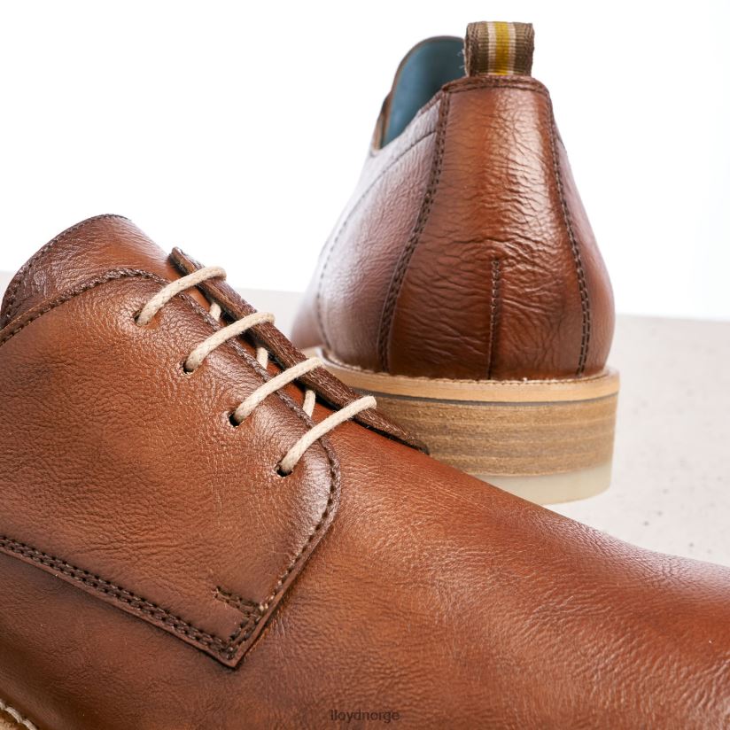 LLOYD dakota menn sko brun 4X82ZP608