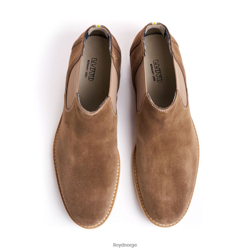 LLOYD dalby menn sko brun 4X82ZP456