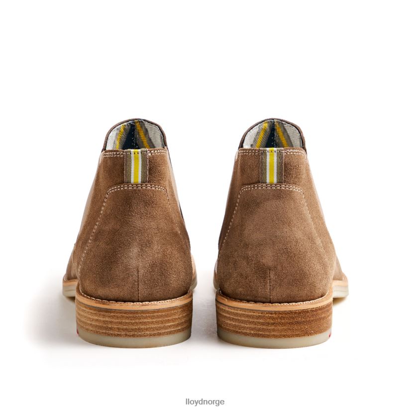 LLOYD dalby menn sko brun 4X82ZP456