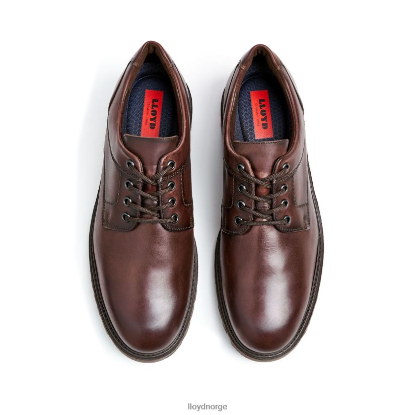 LLOYD dalton menn sko brun 4X82ZP39