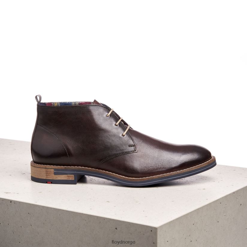 LLOYD daniel menn sko brun 4X82ZP168