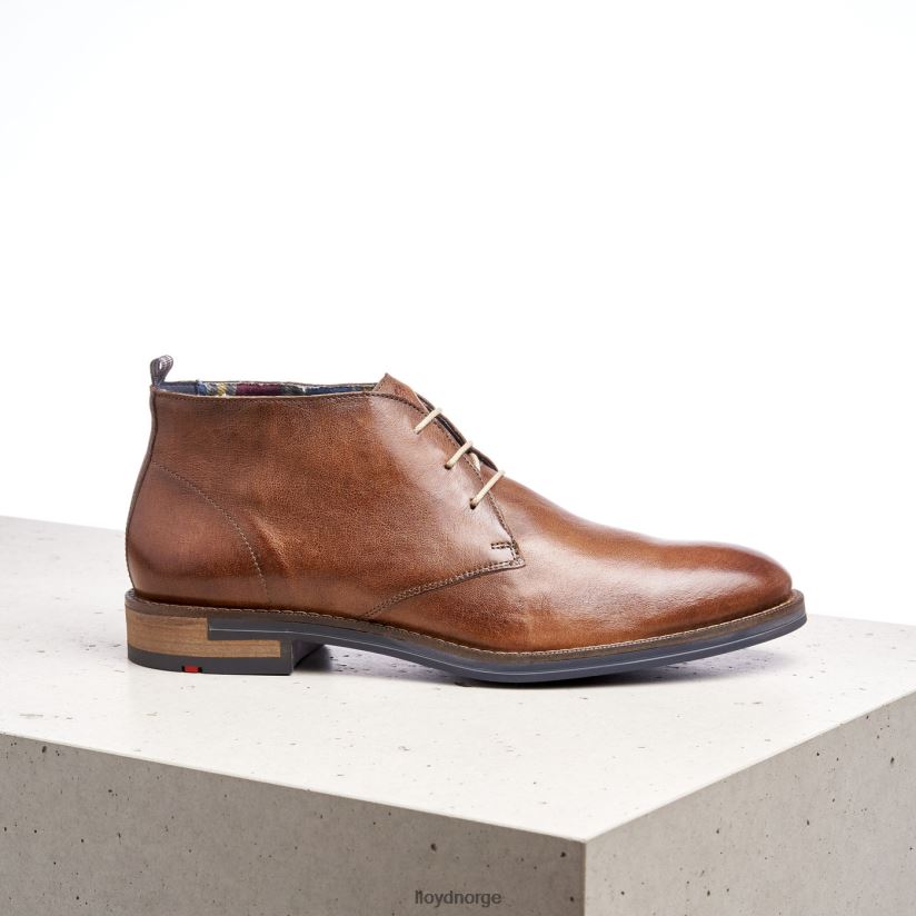 LLOYD daniel menn sko brun 4X82ZP549