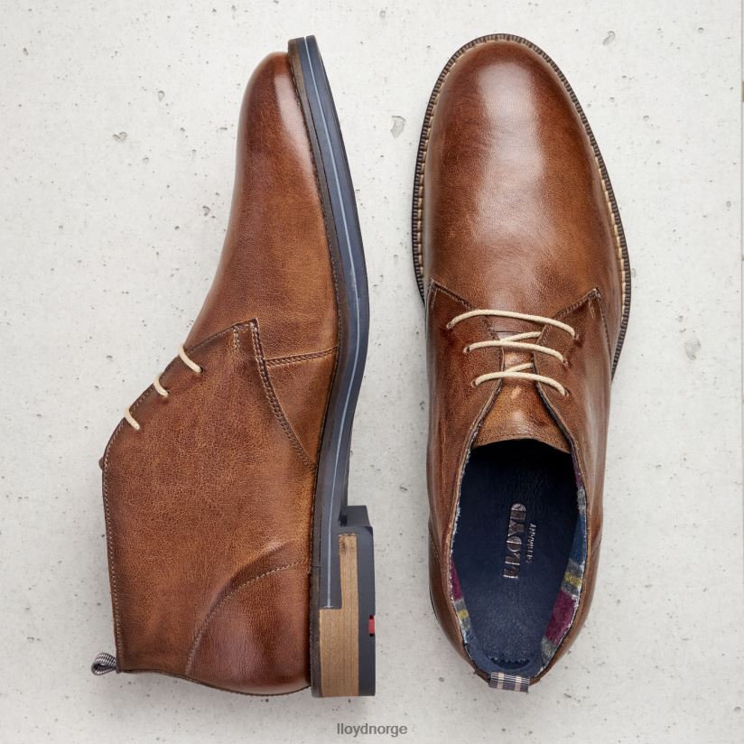 LLOYD daniel menn sko brun 4X82ZP549