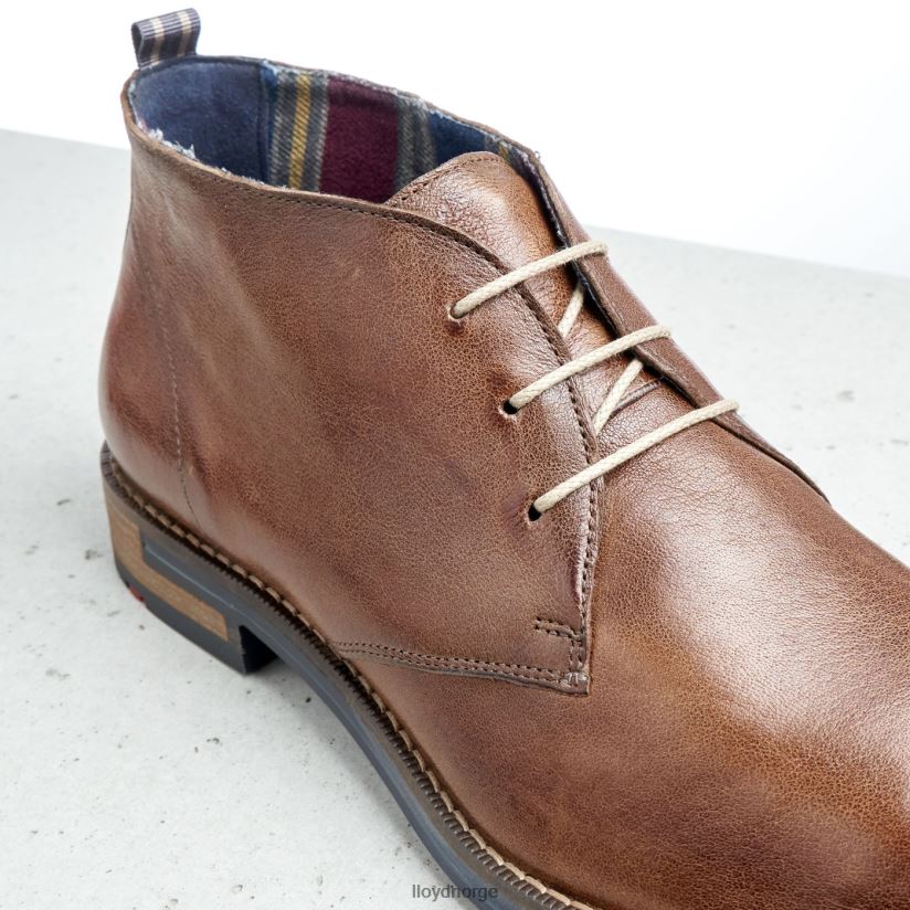 LLOYD daniel menn sko brun 4X82ZP549