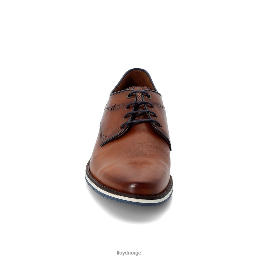 LLOYD danjaan menn sko brun 4X82ZP609