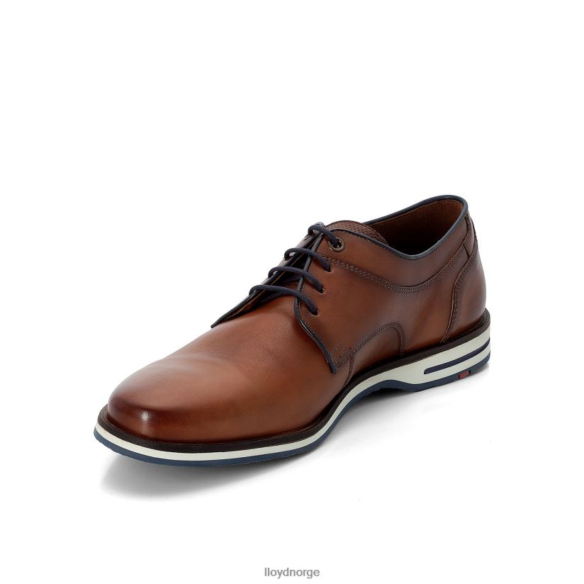 LLOYD danjaan menn sko brun 4X82ZP609