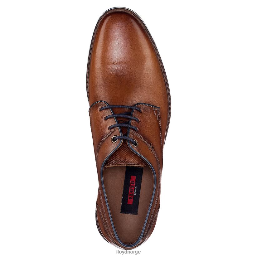 LLOYD danjaan menn sko brun 4X82ZP609