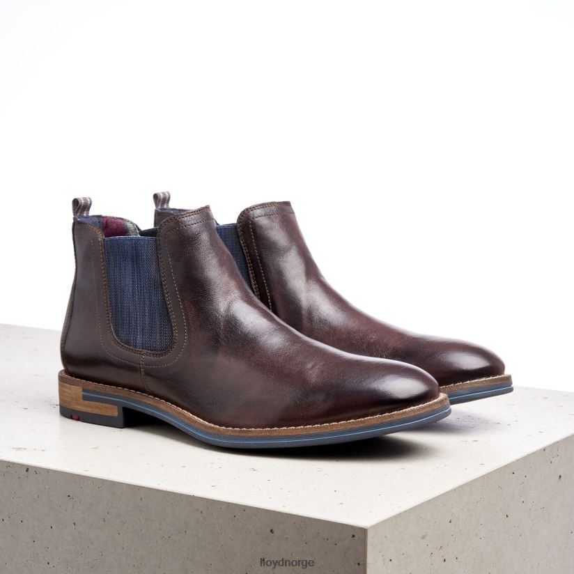 LLOYD dario menn sko brun 4X82ZP1342