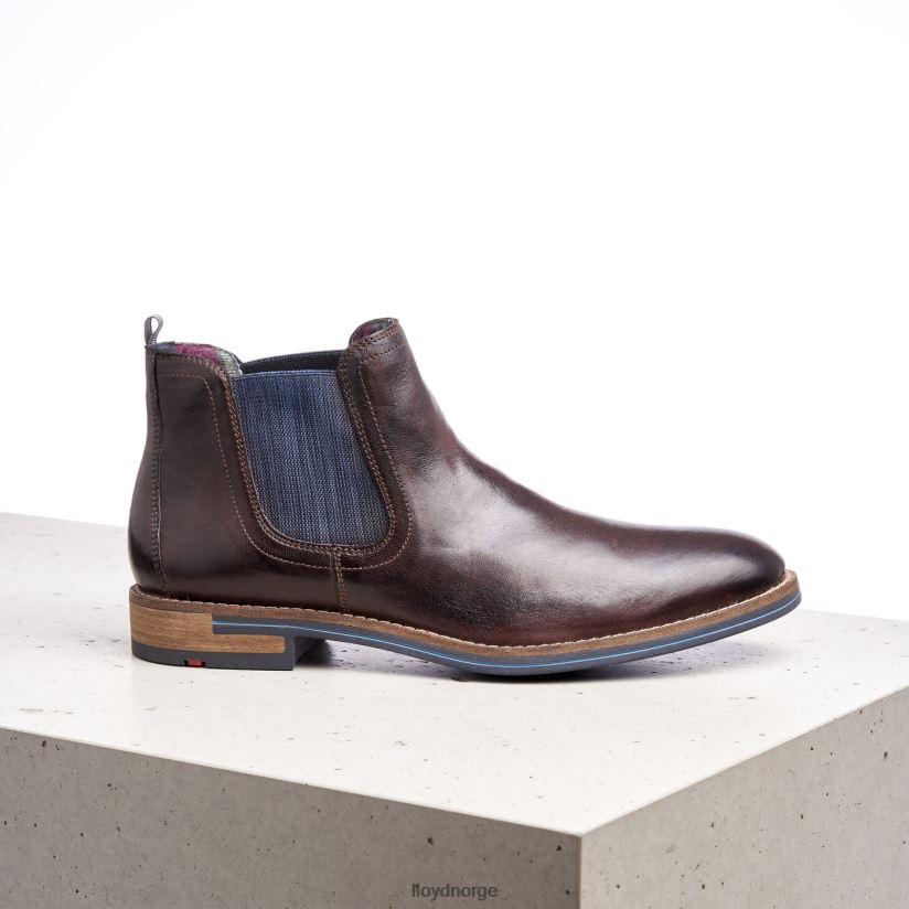 LLOYD dario menn sko brun 4X82ZP1342
