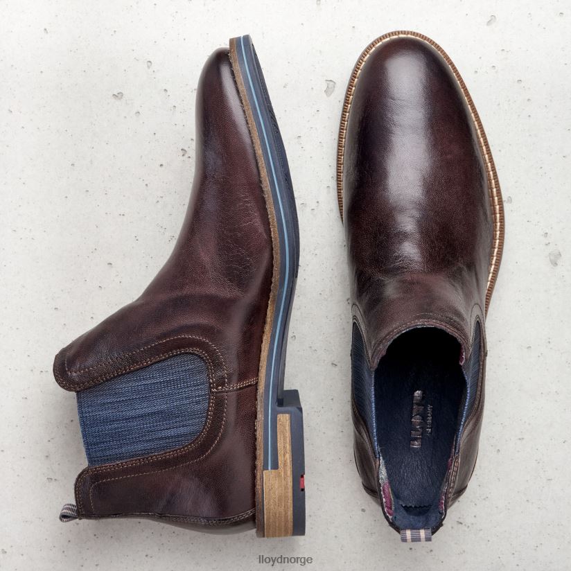 LLOYD dario menn sko brun 4X82ZP1342