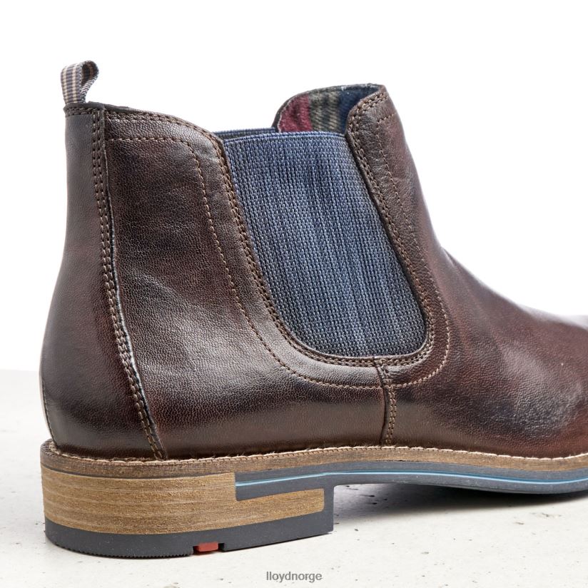 LLOYD dario menn sko brun 4X82ZP1342