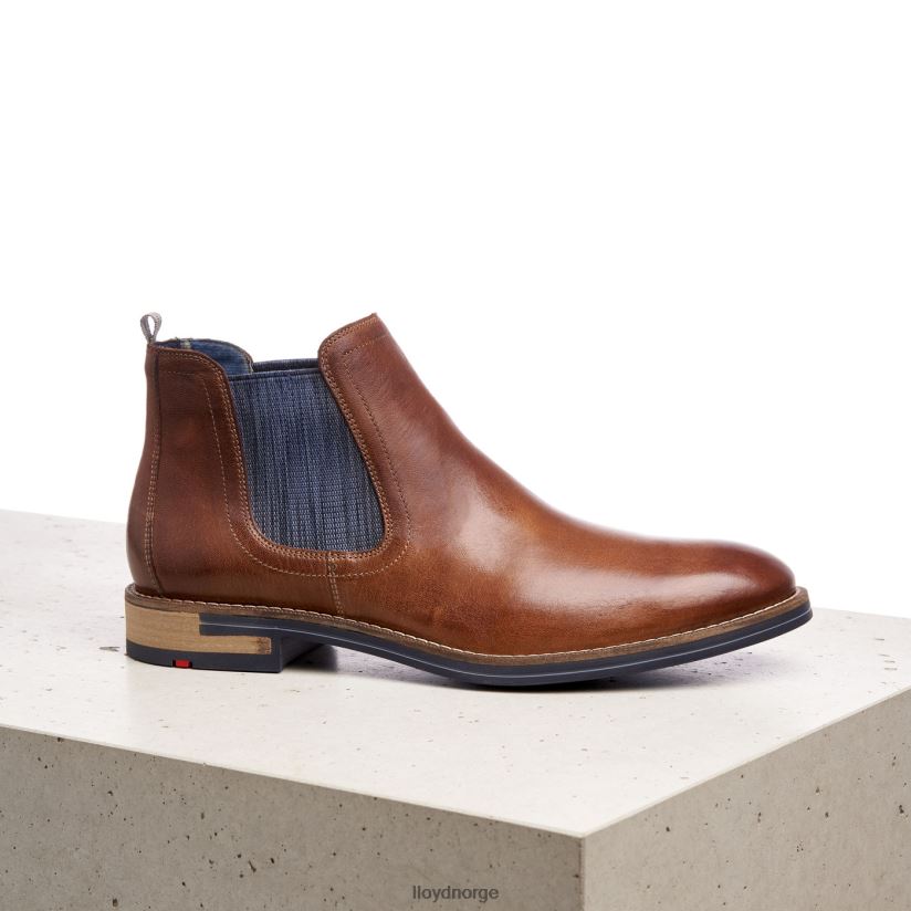 LLOYD dario menn sko brun 4X82ZP1343