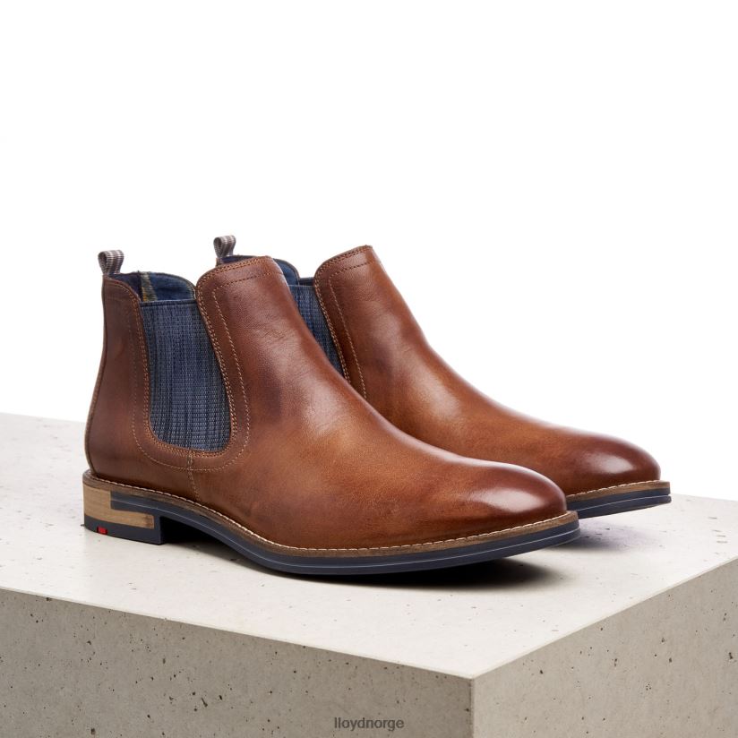 LLOYD dario menn sko brun 4X82ZP1343