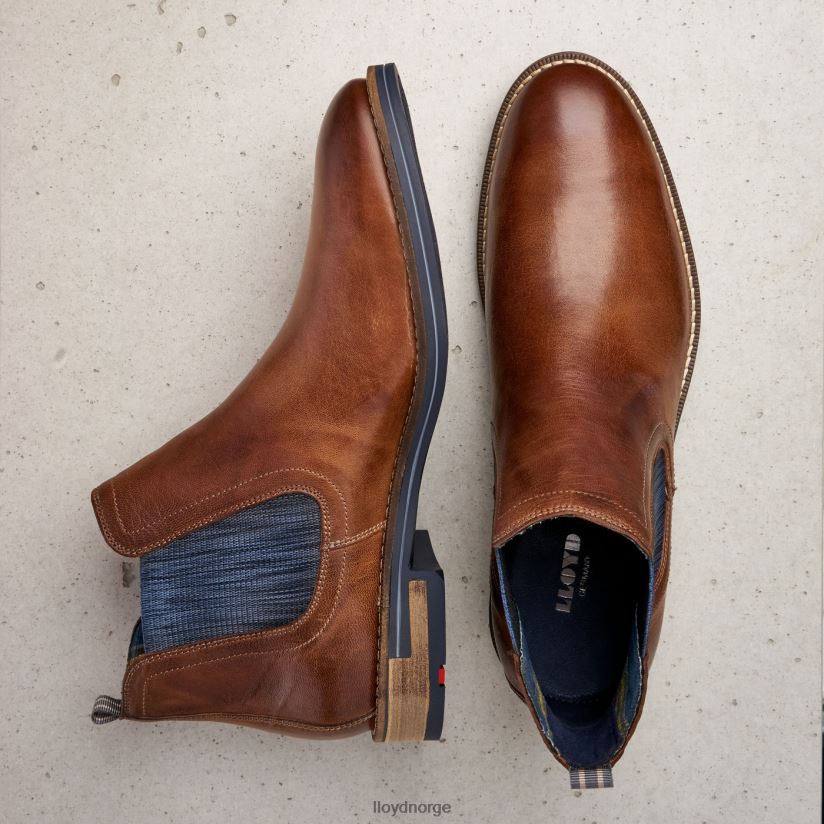 LLOYD dario menn sko brun 4X82ZP1343