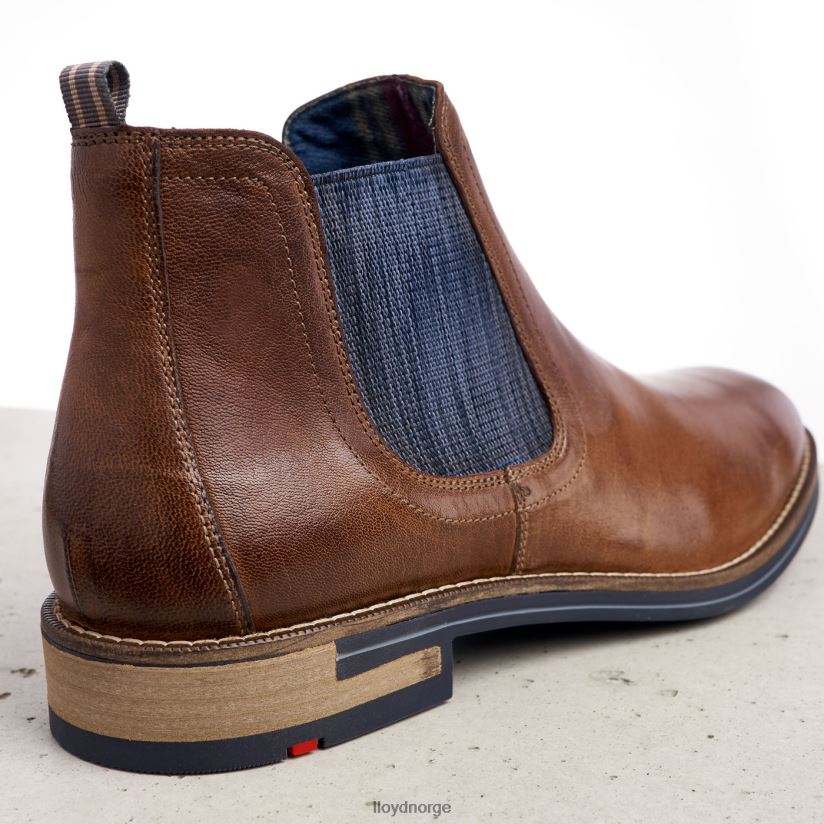 LLOYD dario menn sko brun 4X82ZP1343