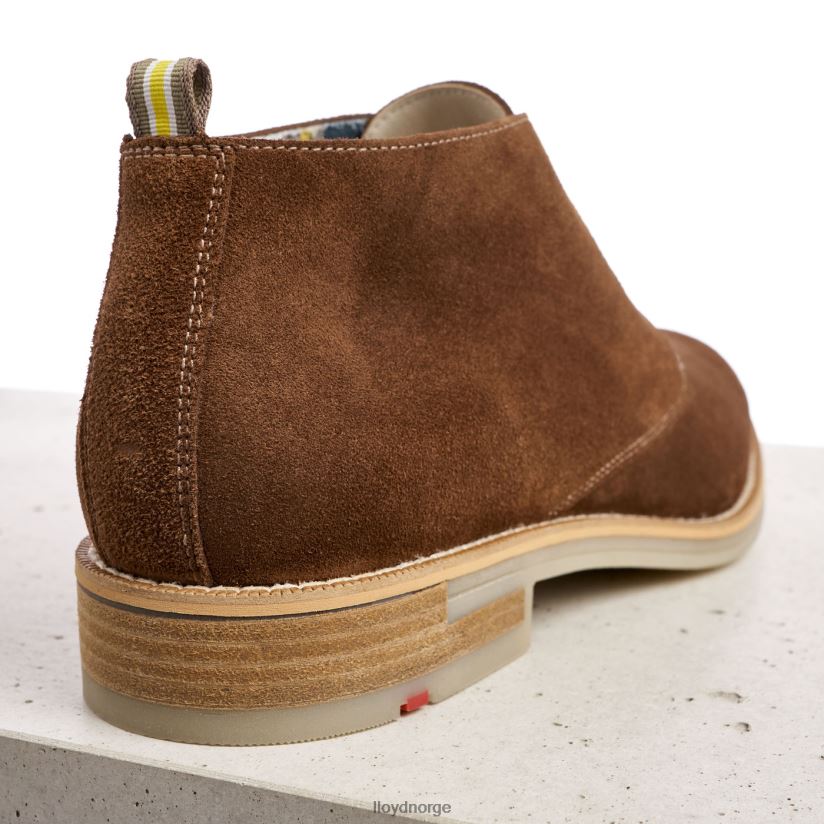 LLOYD darius menn sko brun 4X82ZP559