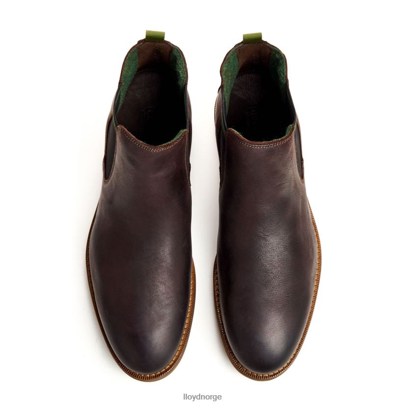 LLOYD darry menn sko brun 4X82ZP459