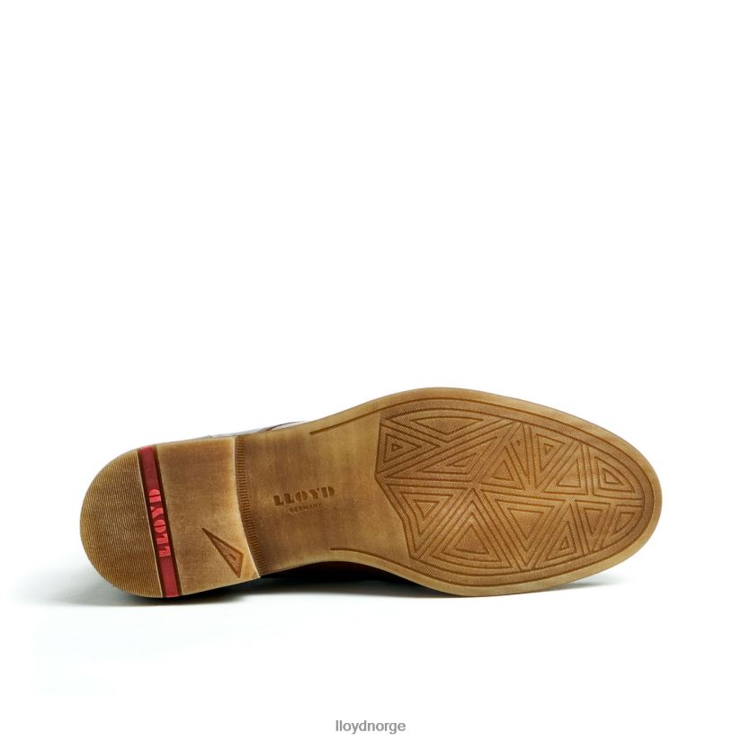 LLOYD dartmoor menn sko brun 4X82ZP44
