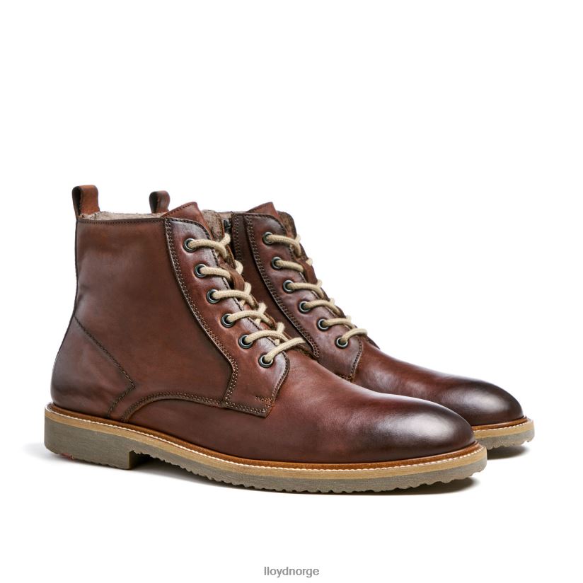 LLOYD darwin menn sko brun 4X82ZP475