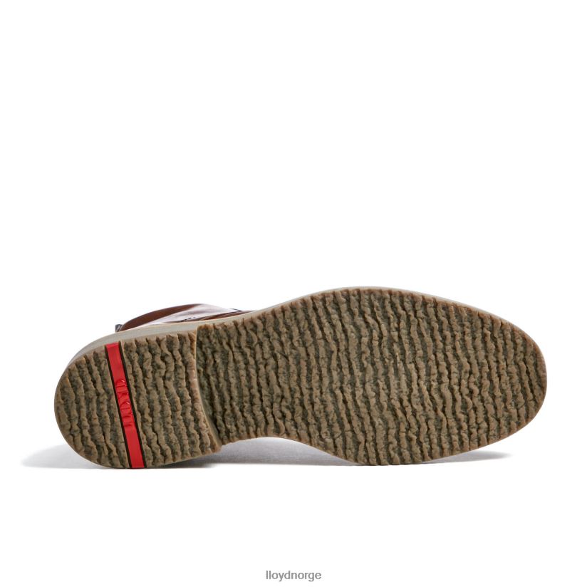 LLOYD darwin menn sko brun 4X82ZP475