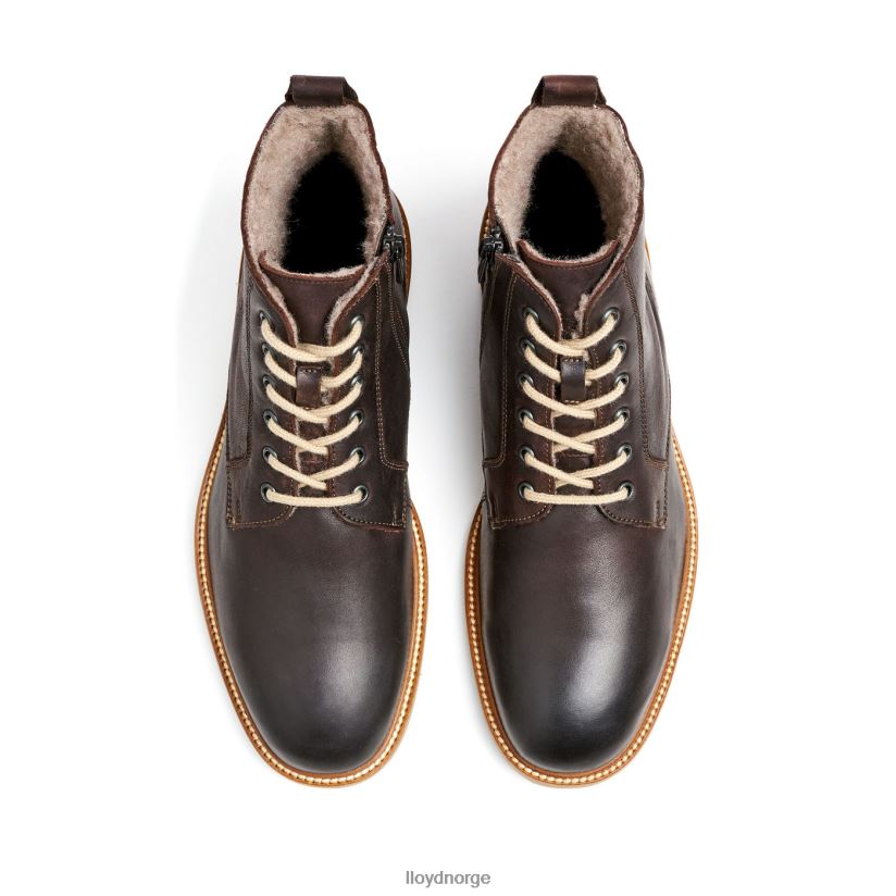 LLOYD darwin menn sko brun 4X82ZP476