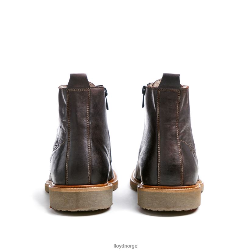 LLOYD darwin menn sko brun 4X82ZP476