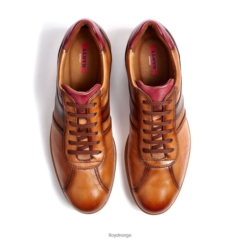 LLOYD davos menn sko brun 4X82ZP308