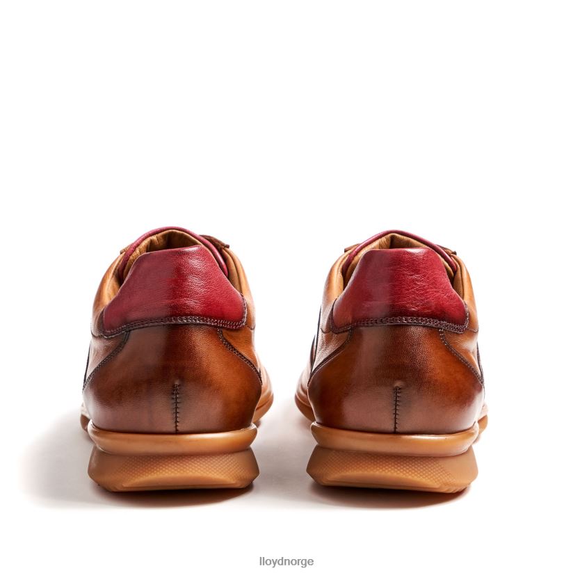 LLOYD davos menn sko brun 4X82ZP308