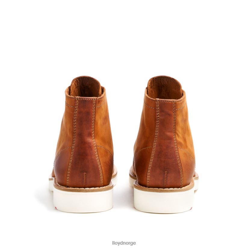 LLOYD debar menn sko brun 4X82ZP501