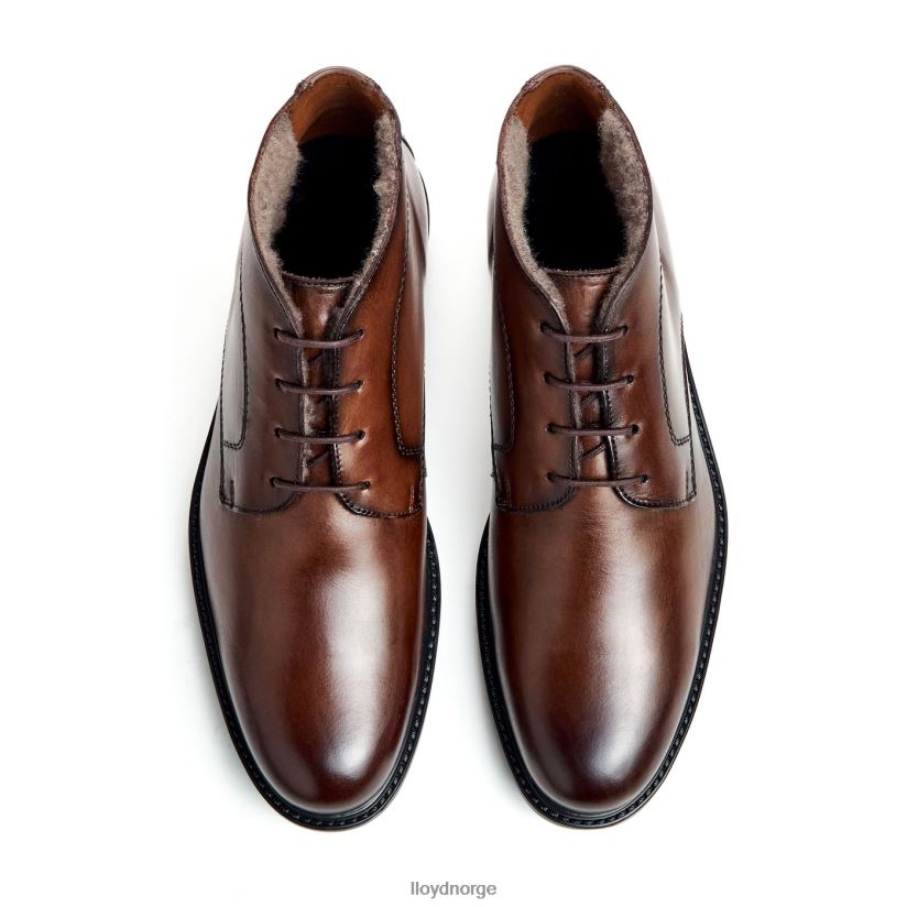 LLOYD delaware menn sko brun 4X82ZP461