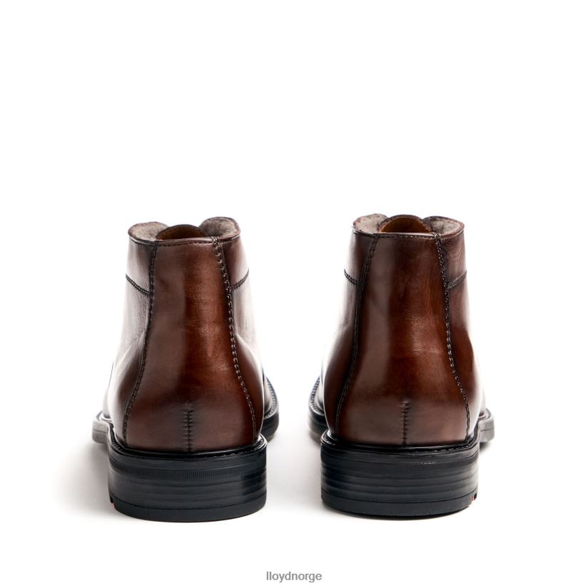 LLOYD delaware menn sko brun 4X82ZP461