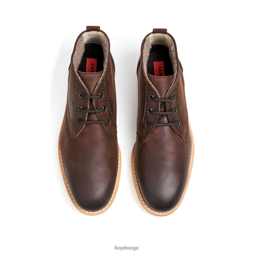 LLOYD dempsey menn sko brun 4X82ZP60