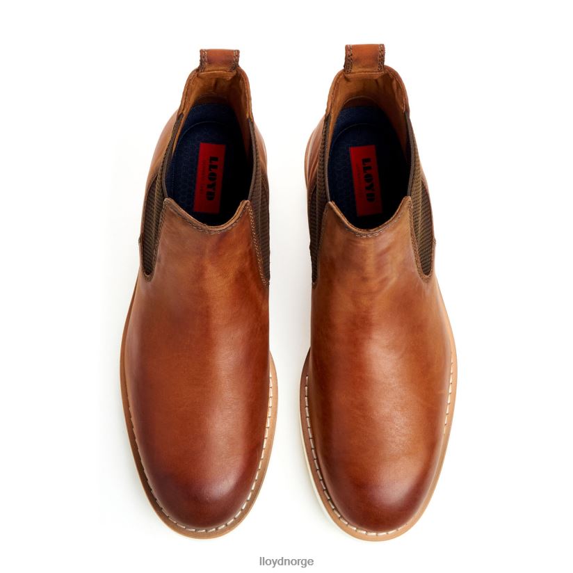 LLOYD denton menn sko brun 4X82ZP477