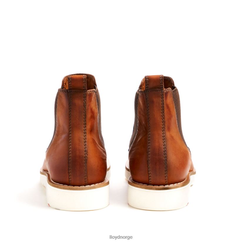 LLOYD denton menn sko brun 4X82ZP477